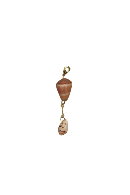 cone shell bikini jewelry