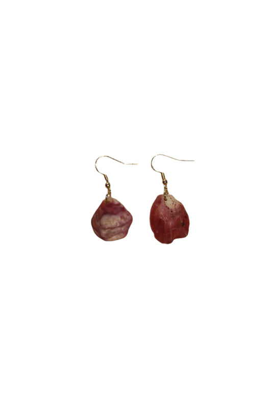 pink shell earrings