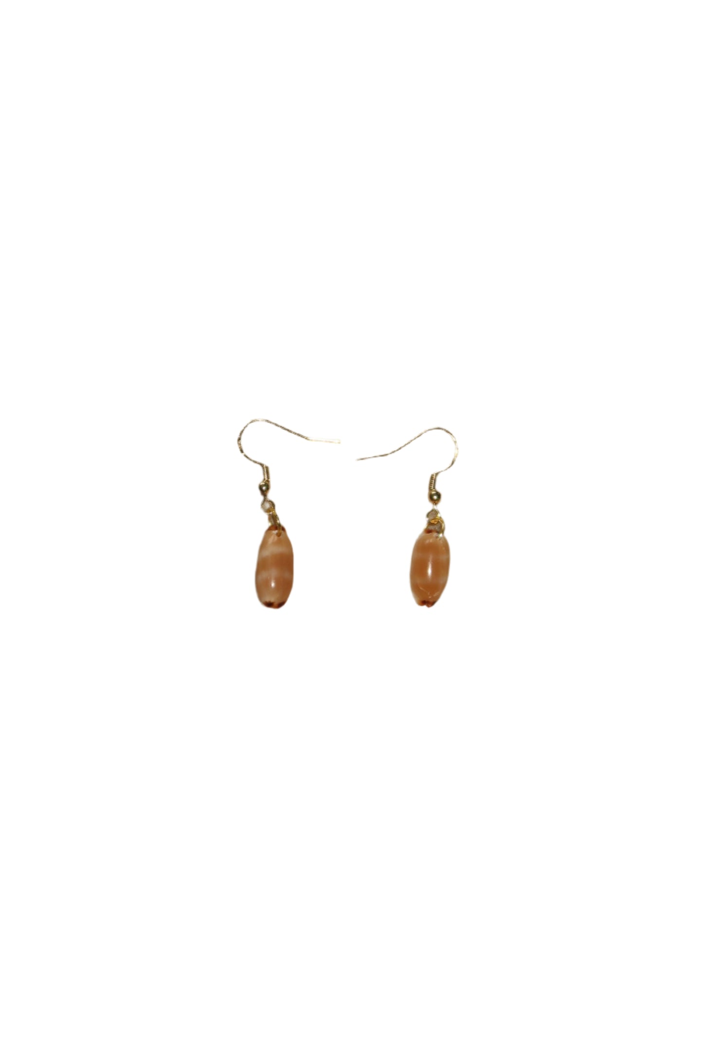 isabella cowry shell earrings